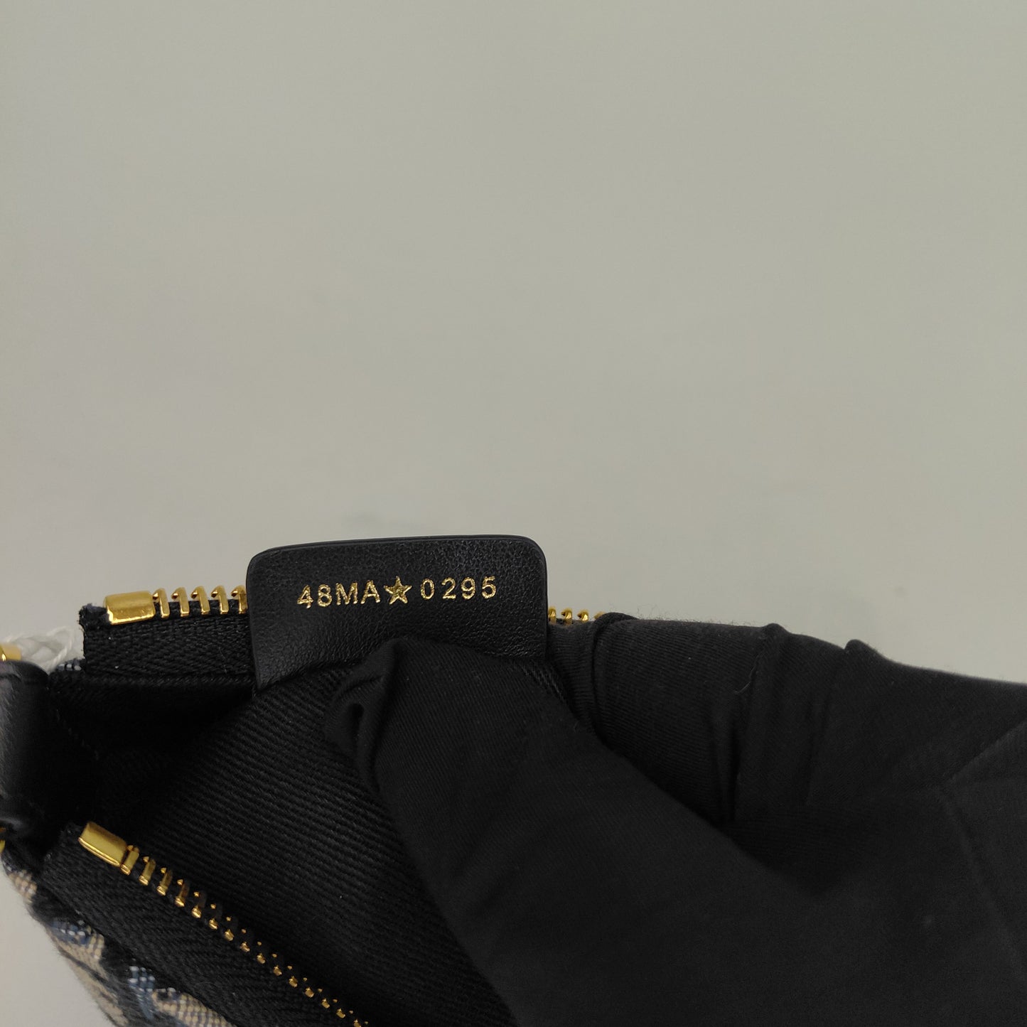 Borsa Hobo Dior