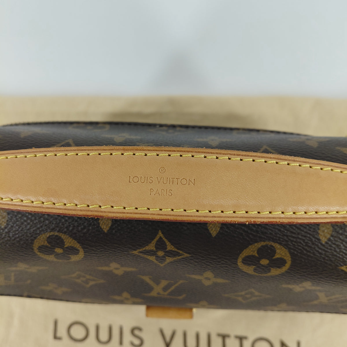 Metis Louis Vuitton
