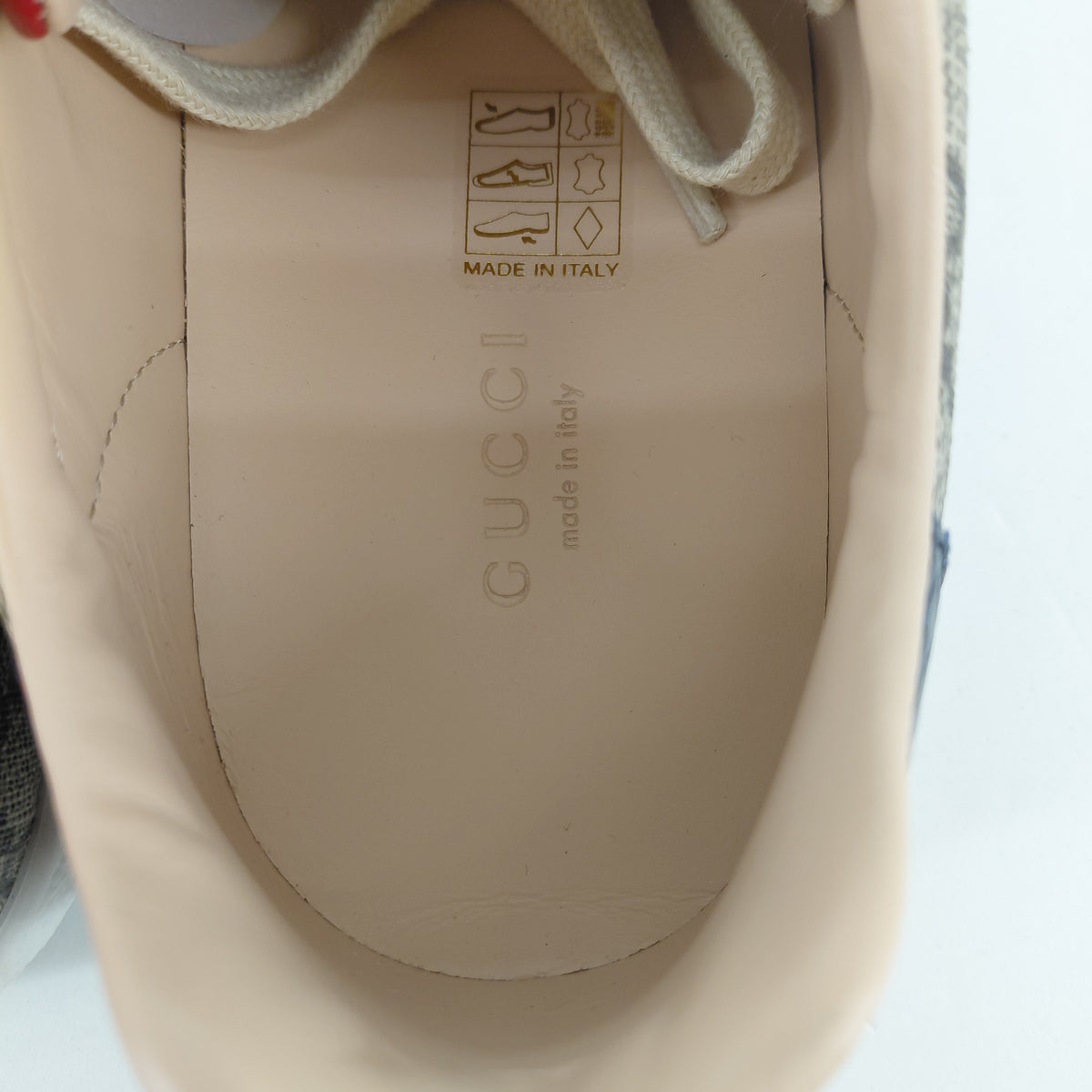 Sneaker Ace Gucci