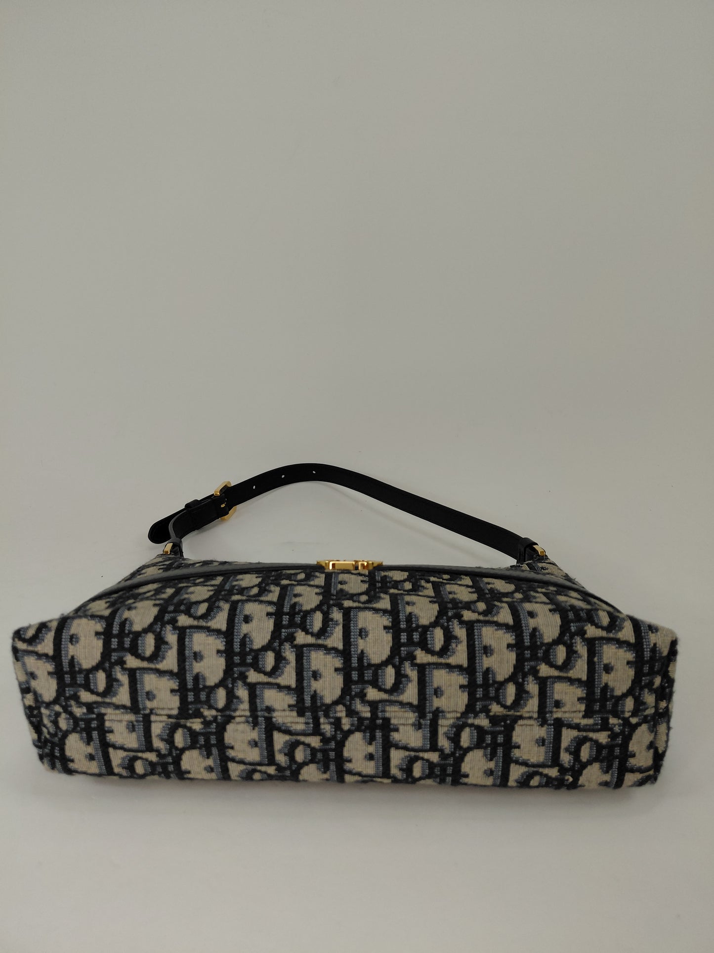 Hobo 30 Montaigne Dior